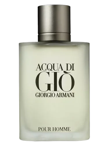 ARMANI ACQUA DI GIO EDT 100ML — foto 1
